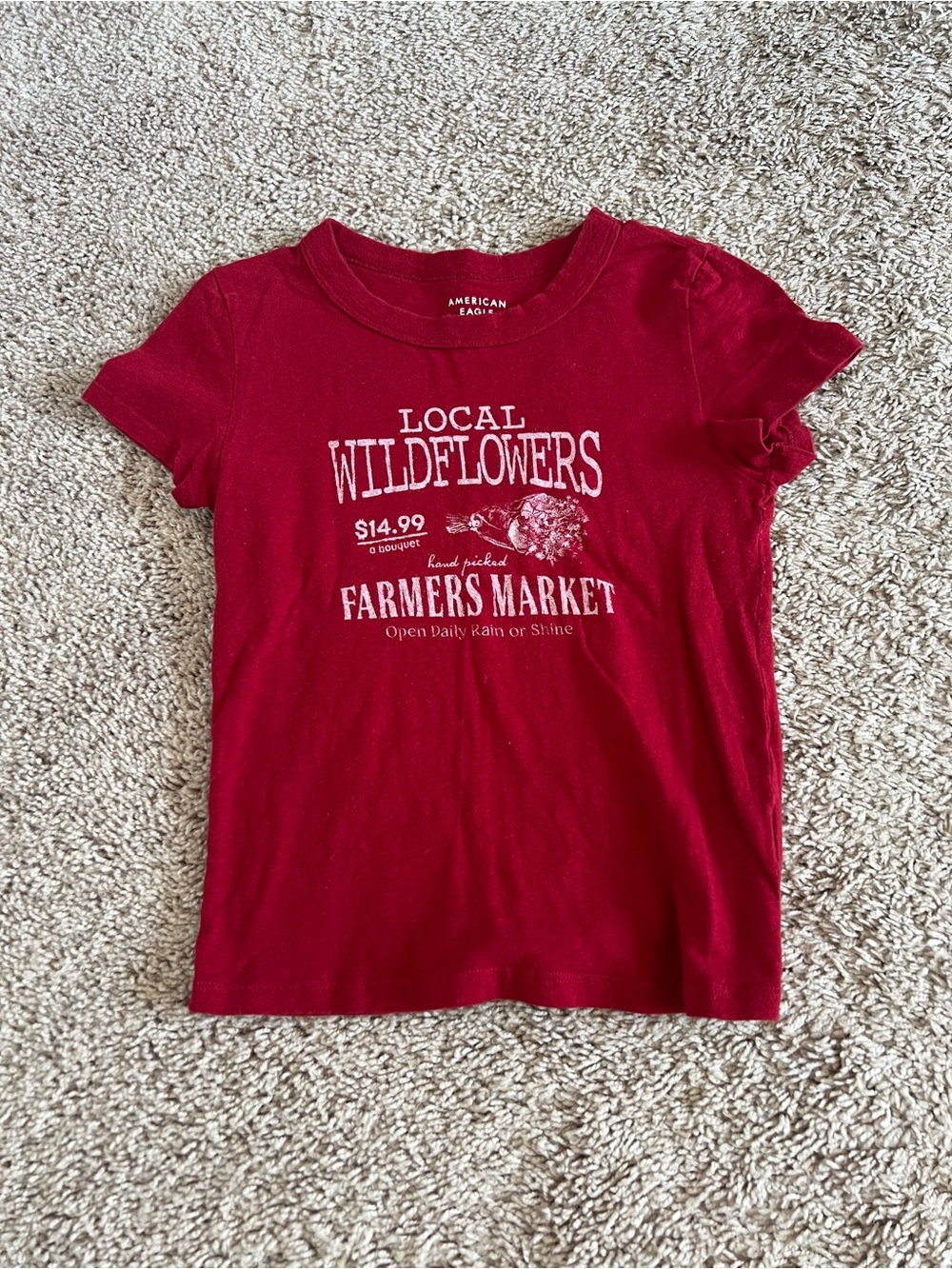 American Eagle Outfitters Graphic Tee